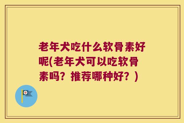 老年犬吃什么软骨素好呢(老年犬可以吃软骨素吗?推荐哪种好?)
