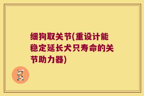 细狗取关节(重设计能稳定延长犬只寿命的关节助力器)