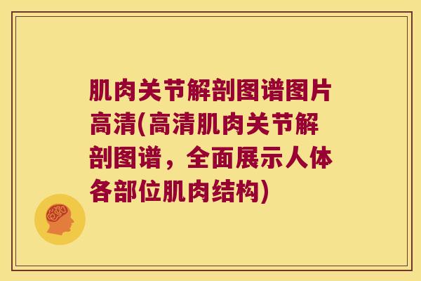 肌肉关节解剖图谱图片高清(高清肌肉关节解剖图谱，全面展示人体各部位肌肉结构)