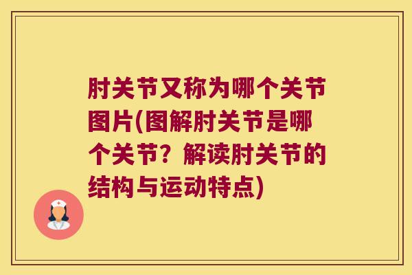 肘关节又称为哪个关节图片(图解肘关节是哪个关节?解读肘关节的结构与运动特点)