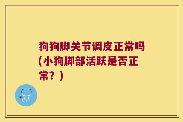 狗狗脚关节调皮正常吗(小狗脚部活跃是否正常?) 狗狗脚关节调皮正常吗(小狗脚部活跃是否正常?)