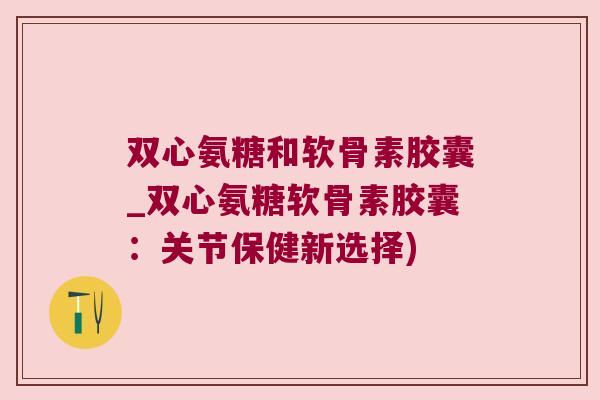 双心氨糖和软骨素胶囊_双心氨糖软骨素胶囊:关节保健新选择)