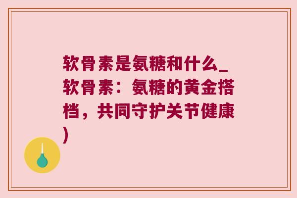 软骨素是氨糖和什么_软骨素:氨糖的黄金搭档,共同守护关节健康) 软骨素是氨糖和什么_软骨素:氨糖的黄金搭档,共同守护关节健康)