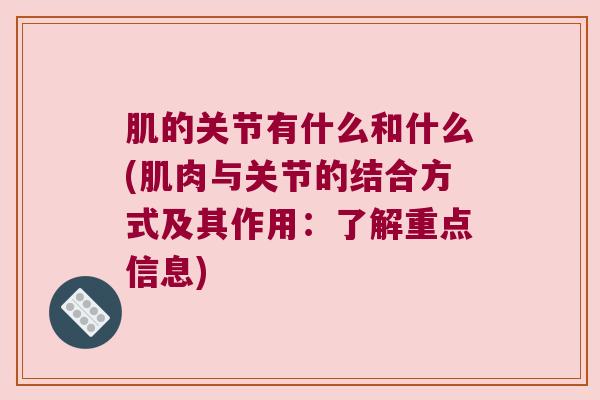 肌的关节有什么和什么(肌肉与关节的结合方式及其作用:了解重点信息)