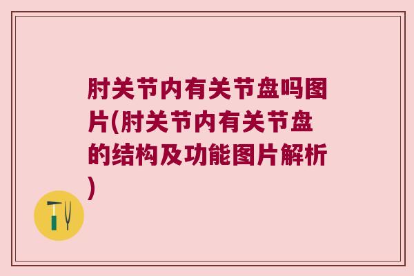 肘关节内有关节盘吗图片(肘关节内有关节盘的结构及功能图片解析)