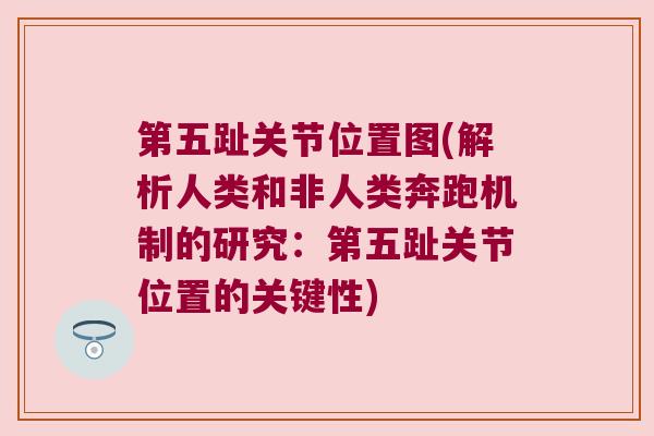 第五趾关节位置图(解析人类和非人类奔跑机制的研究:第五趾关节位置的关键性)