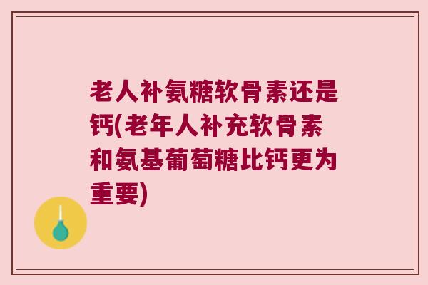 老人补氨糖软骨素还是钙(老年人补充软骨素和氨基葡萄糖比钙更为重要)
