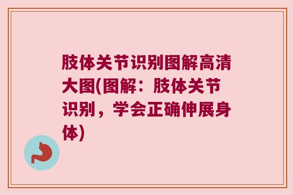 肢体关节识别图解高清大图(图解：肢体关节识别，学会正确伸展身体)
