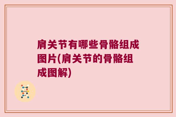 肩关节有哪些骨骼组成图片(肩关节的骨骼组成图解)