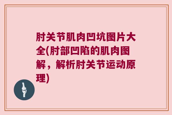 肘关节肌肉凹坑图片大全(肘部凹陷的肌肉图解，解析肘关节运动原理)