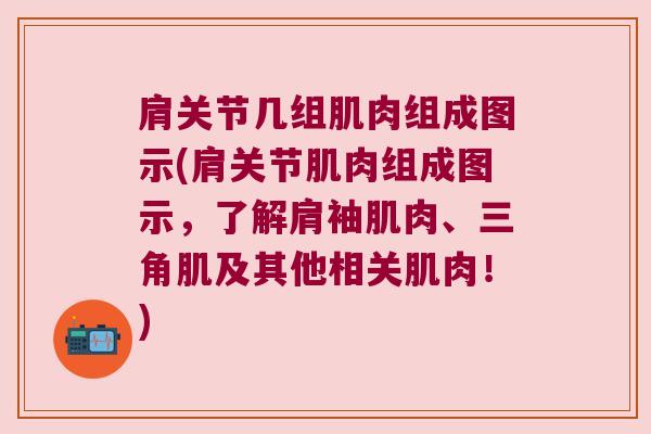 肩关节几组肌肉组成图示(肩关节肌肉组成图示,了解肩袖肌肉、三角肌及其他相关肌肉!)
