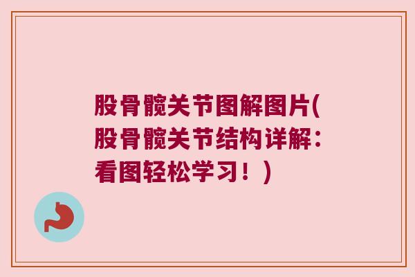 股骨髋关节图解图片(股骨髋关节结构详解:看图轻松学习!)