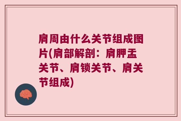 肩周由什么关节组成图片(肩部解剖:肩胛盂关节、肩锁关节、肩关节组成)