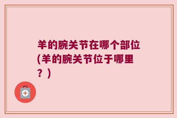 羊的腕关节在哪个部位(羊的腕关节位于哪里?)