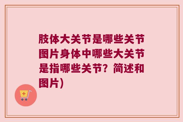 肢体大关节是哪些关节图片身体中哪些大关节是指哪些关节?简述和图片)