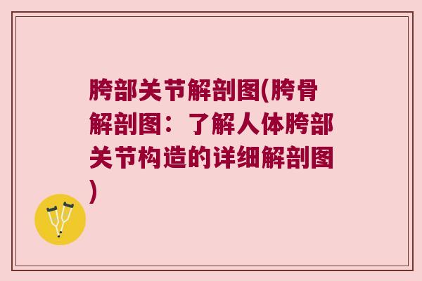 胯部关节解剖图(胯骨解剖图:了解人体胯部关节构造的详细解剖图)