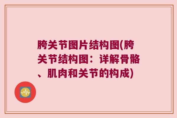 胯关节图片结构图(胯关节结构图:详解骨骼、肌肉和关节的构成)