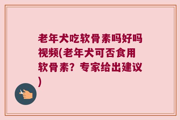 老年犬吃软骨素吗好吗视频(老年犬可否食用软骨素?专家给出建议)