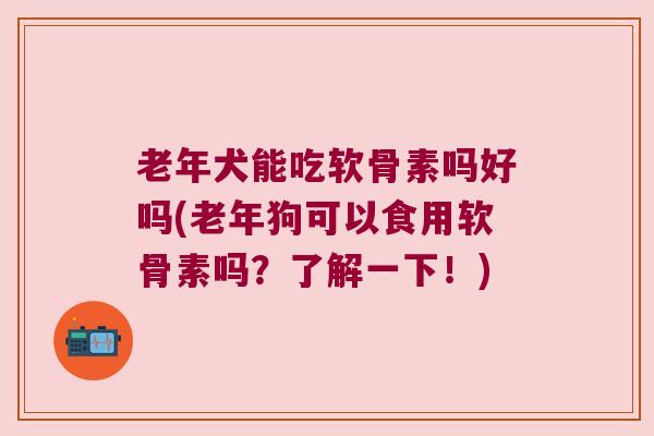 老年犬能吃软骨素吗好吗(老年狗可以食用软骨素吗?了解一下!)