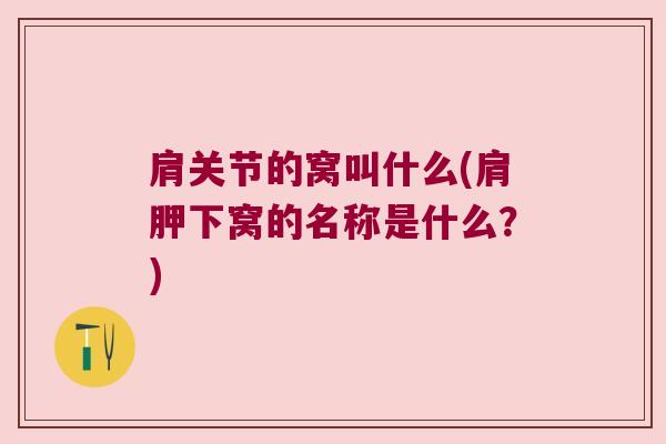 肩关节的窝叫什么(肩胛下窝的名称是什么?)