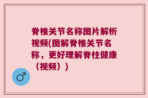 脊椎关节名称图片解析视频(图解脊椎关节名称,更好理解脊柱健康(视频))