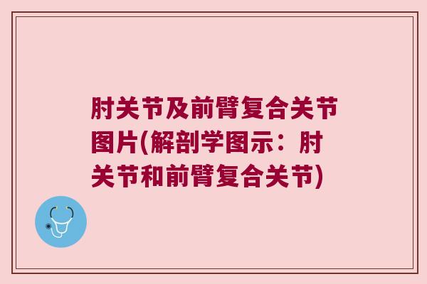 肘关节及前臂复合关节图片(解剖学图示:肘关节和前臂复合关节)
