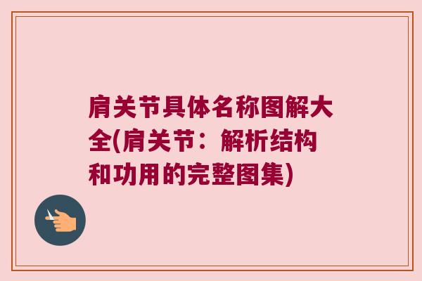 肩关节具体名称图解大全(肩关节:解析结构和功用的完整图集)