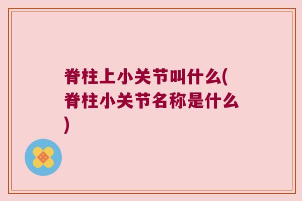 脊柱上小关节叫什么(脊柱小关节名称是什么)