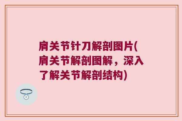 肩关节针刀解剖图片(肩关节解剖图解,深入了解关节解剖结构)