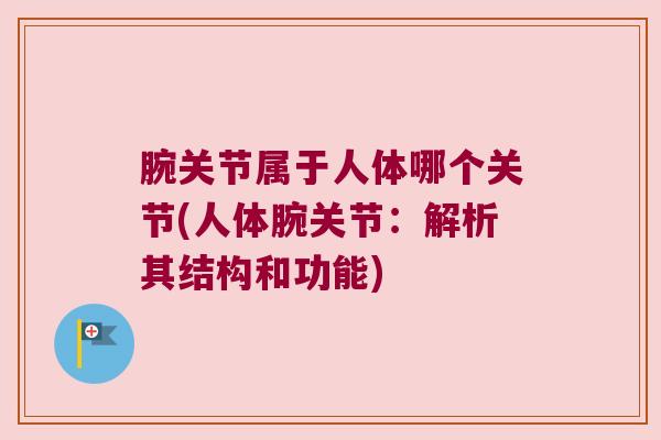 腕关节属于人体哪个关节(人体腕关节:解析其结构和功能)