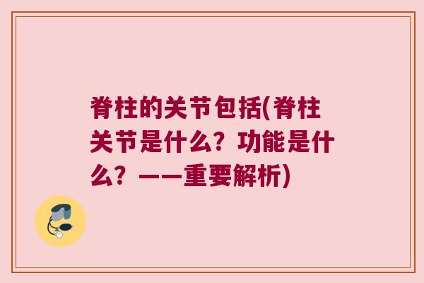 脊柱的关节包括(脊柱关节是什么?功能是什么?——重要解析)