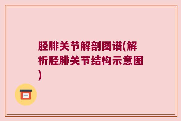 胫腓关节解剖图谱(解析胫腓关节结构示意图)
