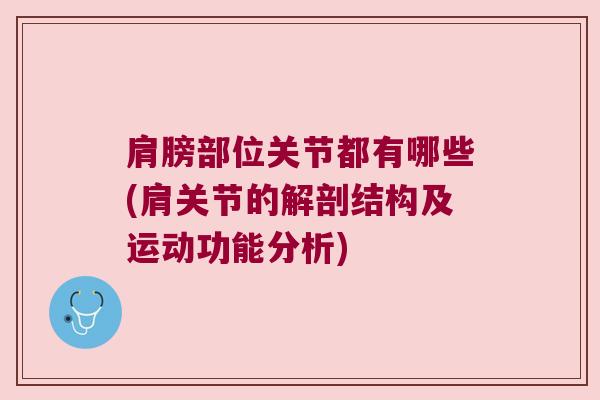 肩膀部位关节都有哪些(肩关节的解剖结构及运动功能分析)