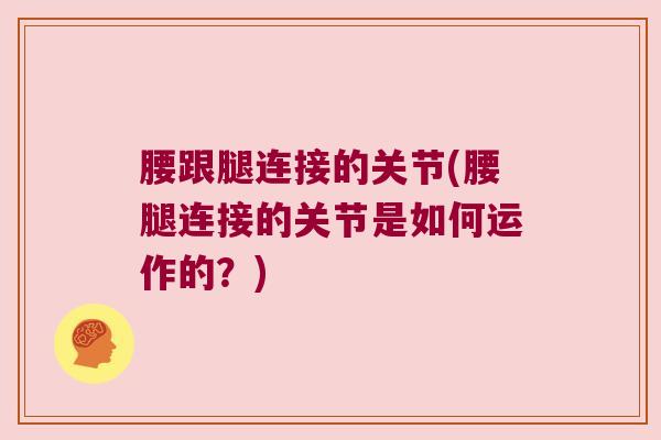 腰跟腿连接的关节(腰腿连接的关节是如何运作的?)