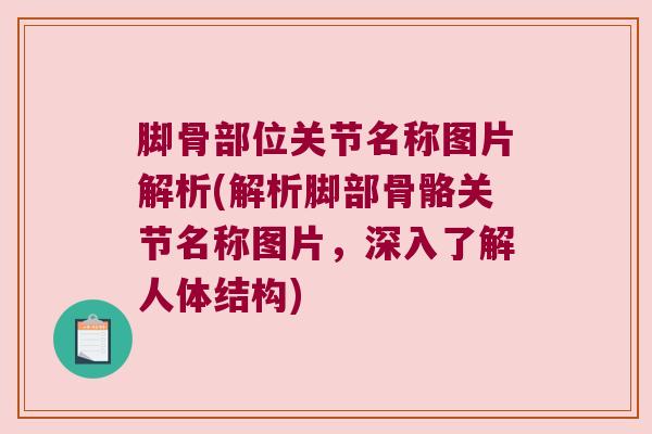 脚骨部位关节名称图片解析(解析脚部骨骼关节名称图片,深入了解人体结构)