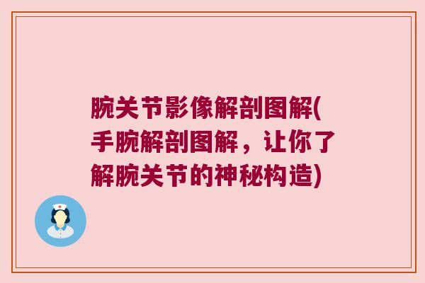 腕关节影像解剖图解(手腕解剖图解,让你了解腕关节的神秘构造)