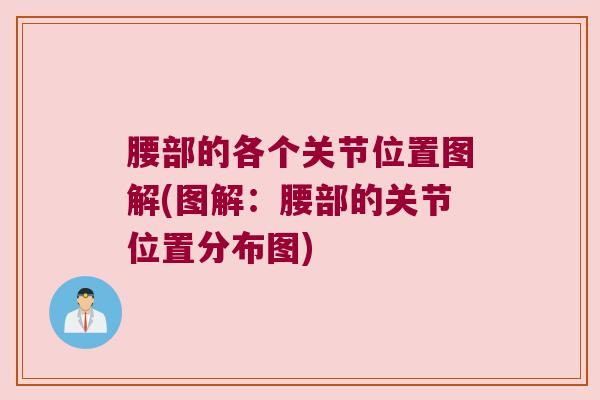 腰部的各个关节位置图解(图解:腰部的关节位置分布图)