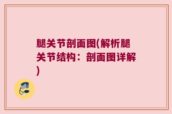 腿关节剖面图(解析腿关节结构：剖面图详解)
