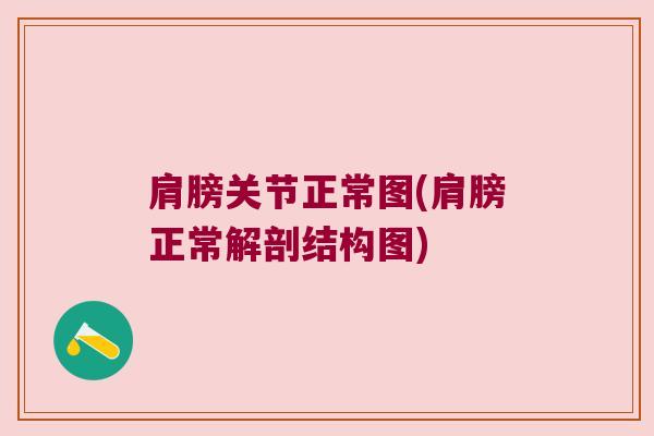 肩膀关节正常图(肩膀正常解剖结构图)