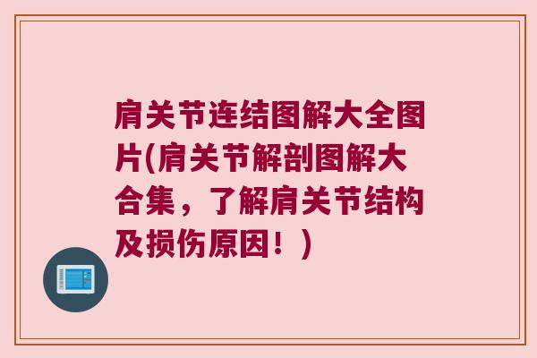 肩关节连结图解大全图片(肩关节解剖图解大合集,了解肩关节结构及损伤原因!)