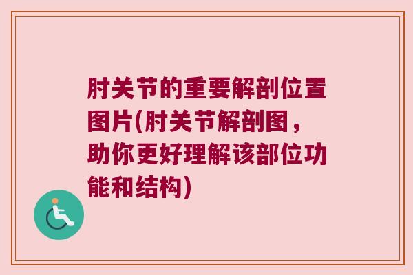 肘关节的重要解剖位置图片(肘关节解剖图,助你更好理解该部位功能和结构) 肘关节的重要解剖位置图片(肘关节解剖图,助你更好理解该部位功能和结构)