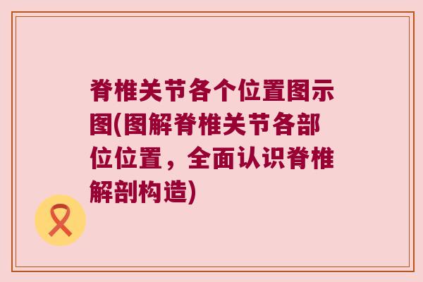 脊椎关节各个位置图示图(图解脊椎关节各部位位置,全面认识脊椎解剖构造)