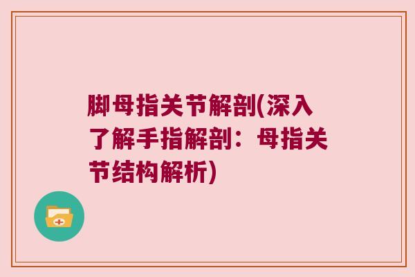 脚母指关节解剖(深入了解手指解剖:母指关节结构解析)