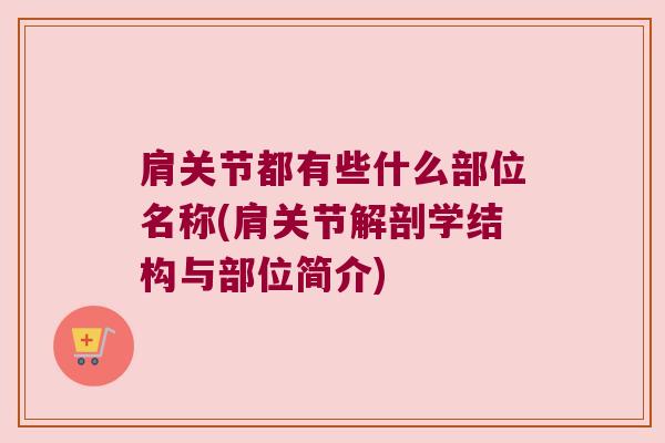 肩关节都有些什么部位名称(肩关节解剖学结构与部位简介)