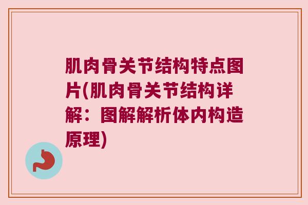 肌肉骨关节结构特点图片(肌肉骨关节结构详解:图解解析体内构造原理)