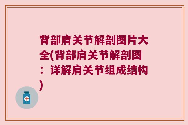 背部肩关节解剖图片大全(背部肩关节解剖图：详解肩关节组成结构)