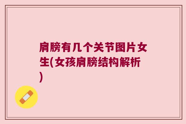 肩膀有几个关节图片女生(女孩肩膀结构解析)