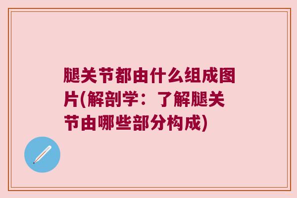 腿关节都由什么组成图片(解剖学:了解腿关节由哪些部分构成)