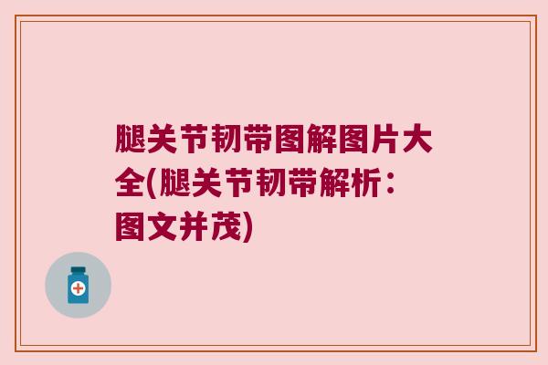 腿关节韧带图解图片大全(腿关节韧带解析:图文并茂)