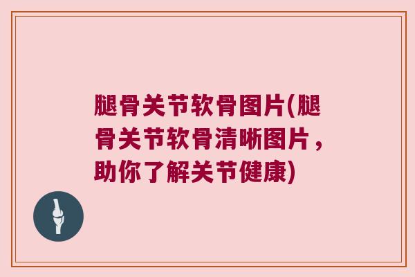 腿骨关节软骨图片(腿骨关节软骨清晰图片,助你了解关节健康)